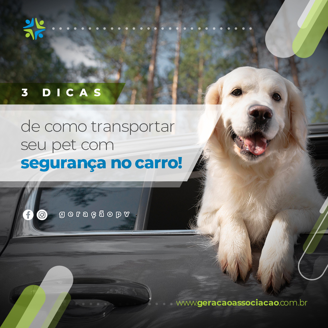 transportar seu pet