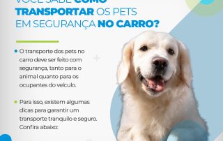 Transporte, animais, pets, segurança