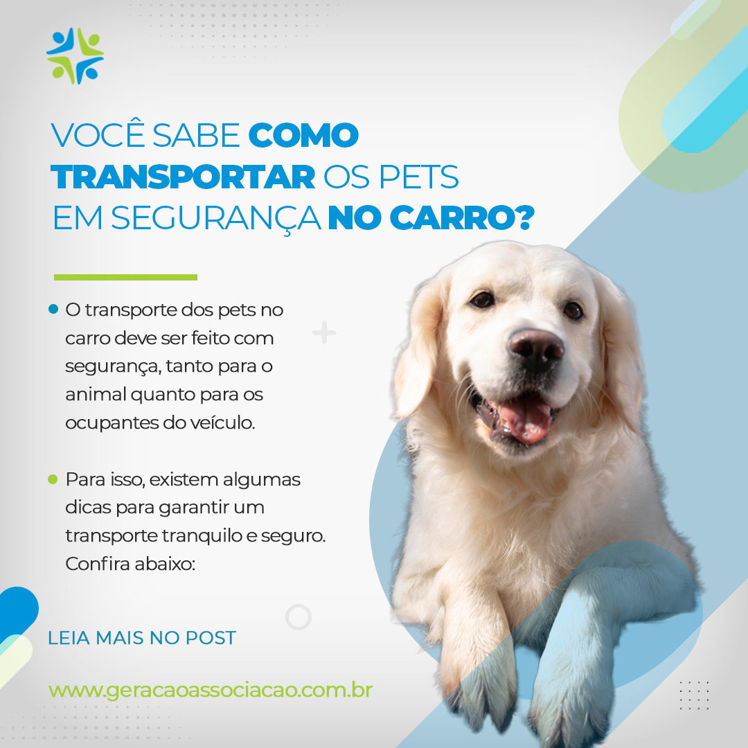 Transporte, animais, pets, segurança