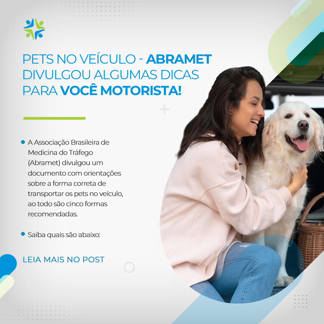 Transporte de pets